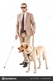 guide dog young man.jpg